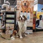 Petco impulsa el segmento premium con marcas especializadas para el bienestar de las mascotas
